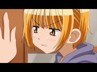 i don't love my brother at all / onii-chan no koto nanka zenzen suki janaindakara ne tv - episode 12 [onityan viki] [2011] [shiza tv]